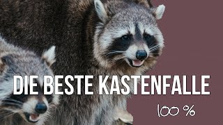 Freunde der Jagd  Folge 28  Die beste Kastenfalle, die du kaufen kannst! Wir gehen ins Detail =)