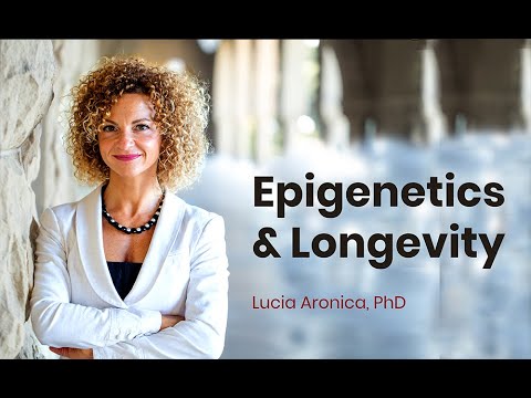 Epigenetics in Longevity Medicine: Key concepts everyone should know