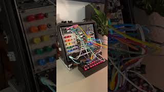 Solarpunk & Techno-Optimism (Eurorack, a plant, and too much spring reverb) #shorts #eurorack