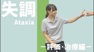 【運動失調】効果的な評価と治療6選 /小脳/脳梗塞/リハビリ screenshot 4