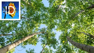 The Life-Friendly Properties of Carbon And Other Non-Metal Atoms