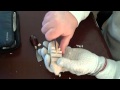 Wood Carving a Reindeer for beginners Wood Carving a Reindeer for beginners