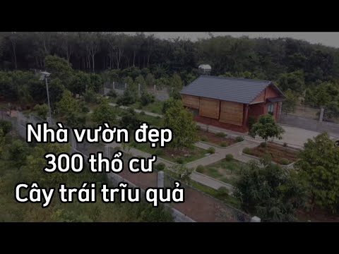 Video Làm ăn khó khăn đành bán nhà đất vườn nghĩ dưỡng cây... - youtube
