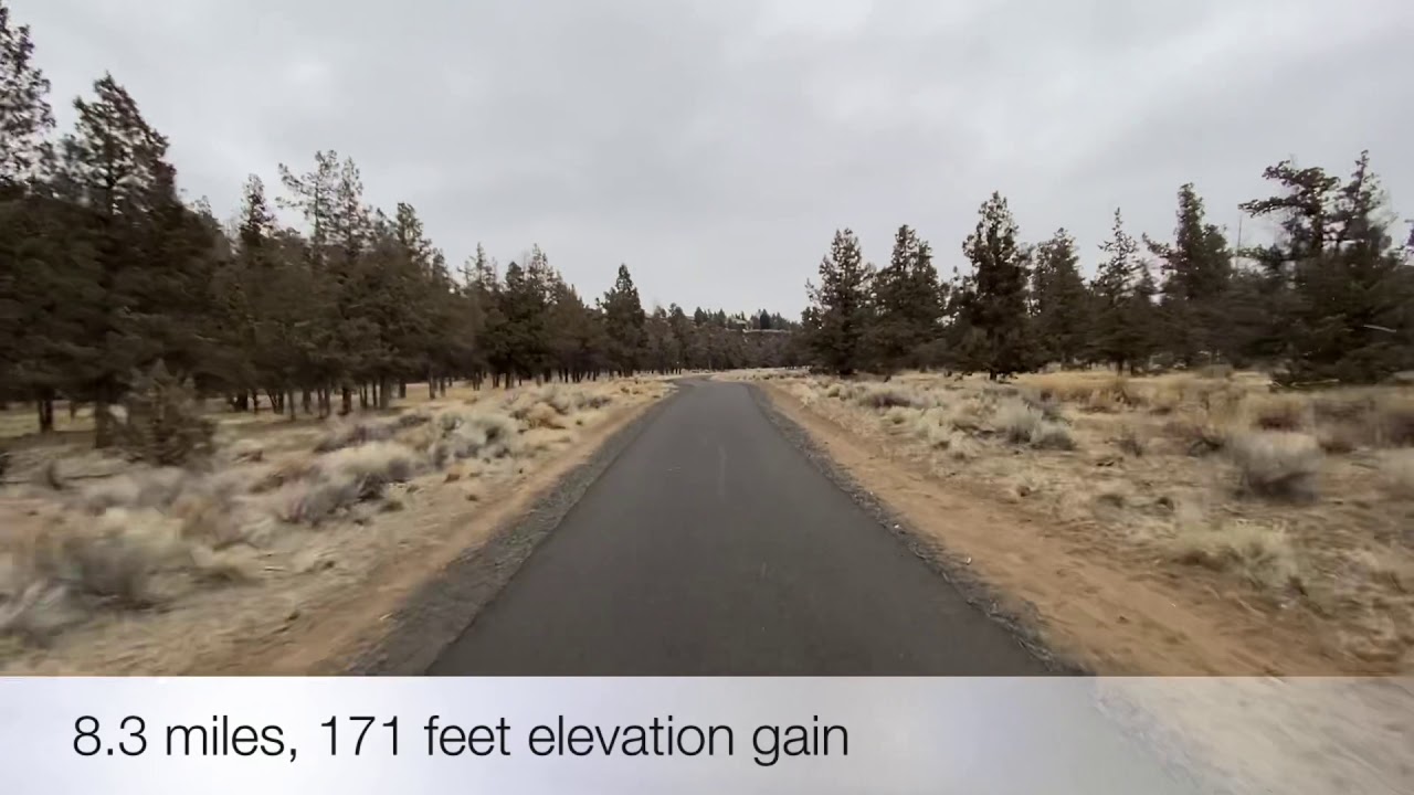 Dry Canyon Trail—February 12, 2021