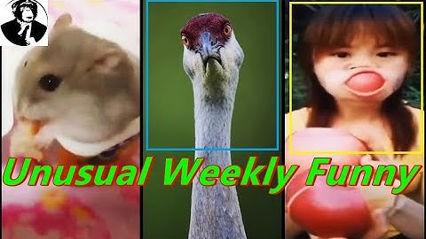 Shitpost Status Compilation V22 Collection of Memes