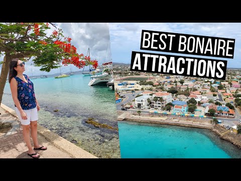 Bonaire Travel Guide | The Best Things to See and Do in Bonaire