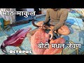 8 kg makul made in boat 8 kg makul food  20 man boat meal recipe cooking