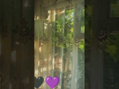 السكينة يا الله 