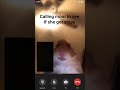 #shorts #funny #fun #digitalart #haveitoldyoulatelythatiloveyou  #tutorial #fypシ゚viral #hamster