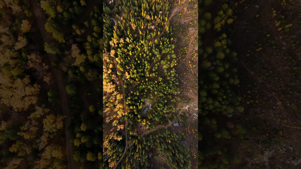 Shope House For Sale In Sagle Idaho, Could You Live Here?