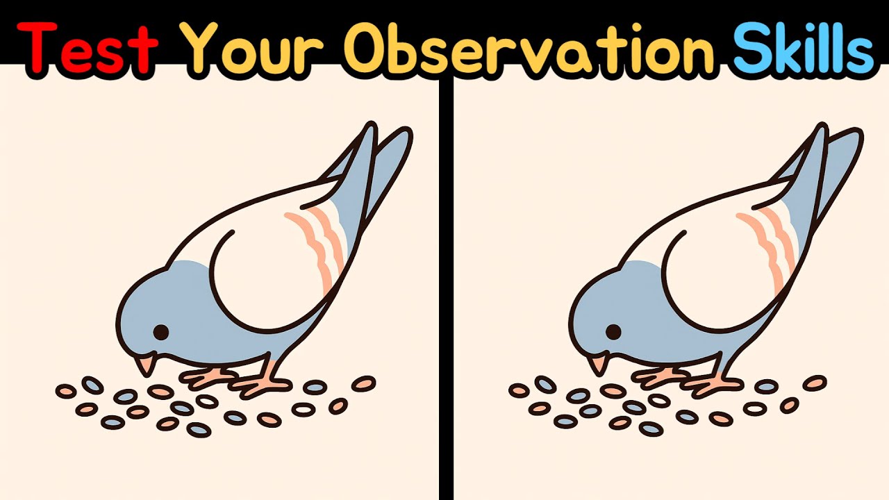 Spot The Difference: Test Your Observation Skills – Spot All 3 Mistakes [Find The Difference!]