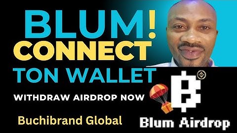 How To Connect TON Wallet on Blum to Withdraw Airdrop Earnings