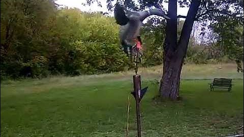 homemade vortex duck machine