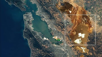 Asunder – teaser | IFFR 2024