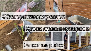 ОБЛАГОРАЖИВАЕМ УЧАСТОК// КУПИЛИ ЯГОДНЫЕ КУСТАРНИКИ// СУПЕР НАХОДКА НА УЧАСТКЕ🤩 ОТПУСТИЛИ РЫБКУ