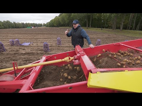 Уборка урожая на
