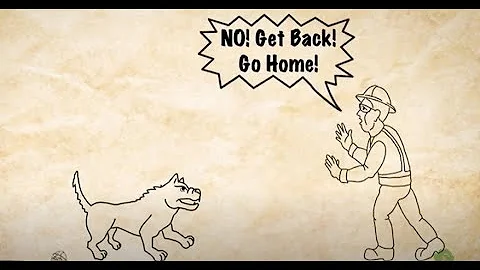 Safety First, Safety Always - Dog Bite Prevention