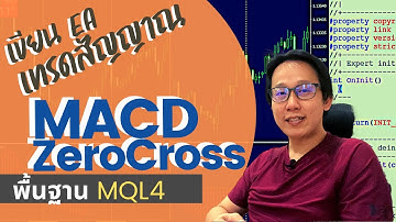 เขียน EA เทรดตามสัญญาณ MACD Zero Crossover | สอนพื้นฐาน MQL4 เขียน EA ทดสอบระบบเทรดบน MT4