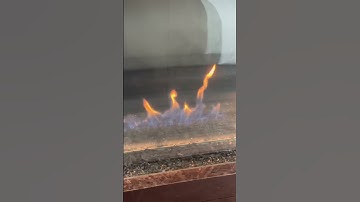 Behind the scenes in New York 🗽👀#prophetlovy #prophetpassion #prophetesstaryn