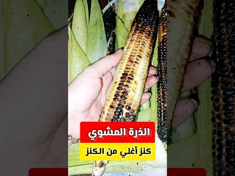 الذرة المشوي للرجال والنساء كانت فين الفوكيرة دي من زمان ده كنز واغلى من الكنز ريلزات وصفات معلوما 