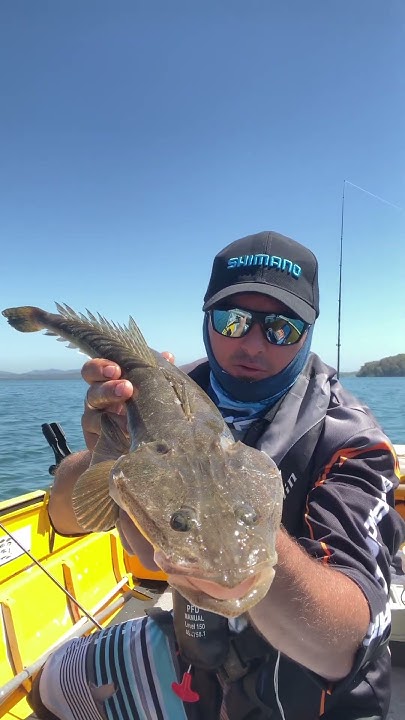worlds-smallest-flathead-youtube