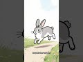 Which way will the little bunny go? 🐇💭 #RabbitDecisions #cuteshorts #shortsvibes#funnyshorts#cute