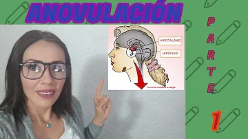 ¿Cuál es la causa de que no ovules?