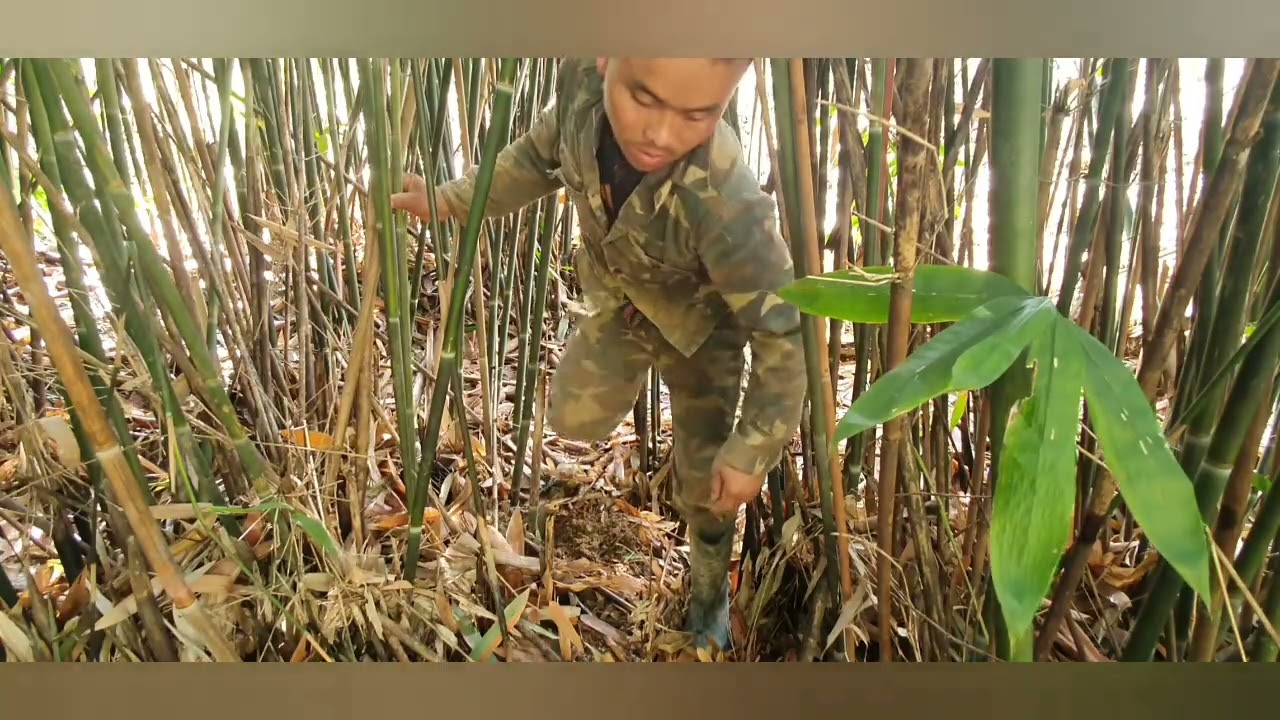 Khuv xim kawg xav tias tau hmo lawm no 2026