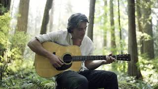 'Falling' Ryan Harris | Live in Nature ♪