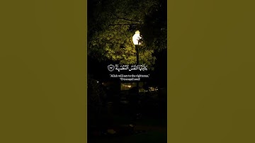﴿يَقُولُ يَا لَيْتَنِي قَدَّمْتُ لِحَيَاتِي﴾ القارئ: رعد الكردي - سورة الفجر