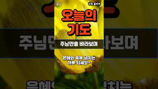 하루시작기도 ㅣ 하루 기도 ㅣ 축복 기도 ㅣ 감사 기도 ㅣ  아침을 여는 기도 ㅣ 아침기도 ㅣ 매일 기도 #아침기도 #하루를여는기도 #감사기도