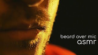 Counting hairs on my birb (its beard but cant say it) ASMR -whispering / no talking -