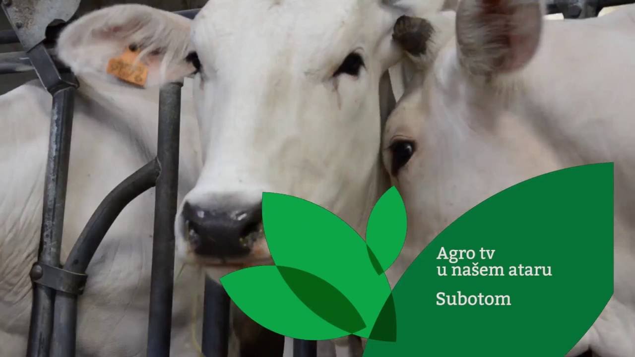 Agro tv u nasem ataru PROMO