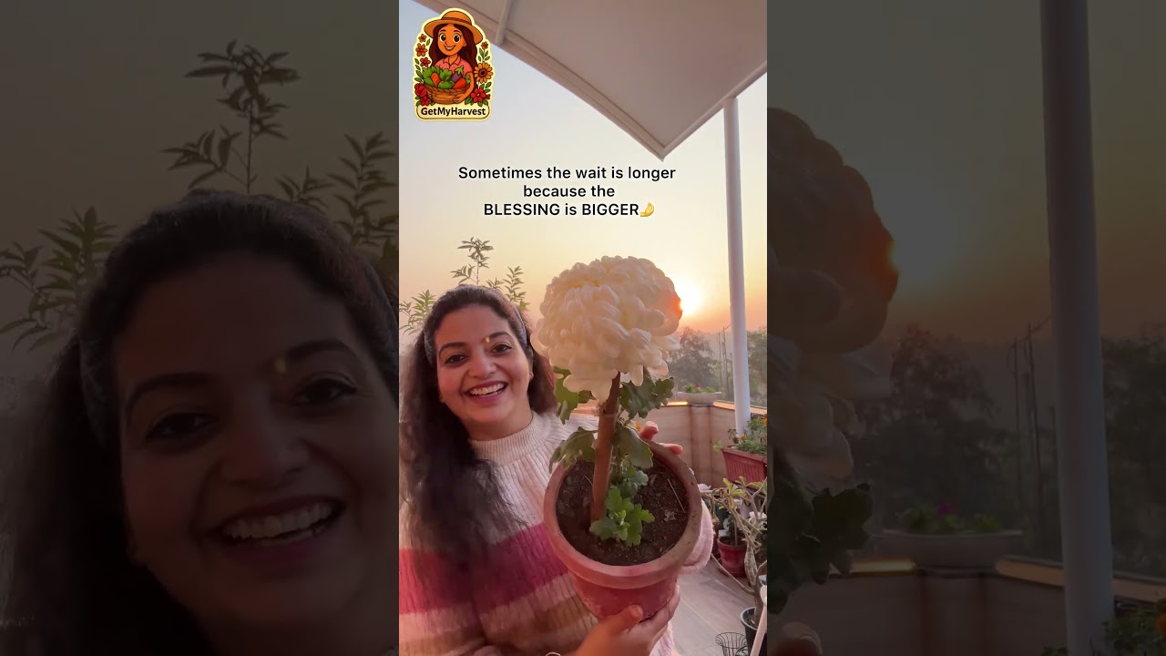 Bigger Wait = Bigger Blessing | Yaad Rakhna