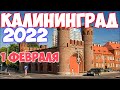 КАЛИНИНГРАД 2022 1 ФЕВРАЛЯ ОТМЕНА QR КОДОВ