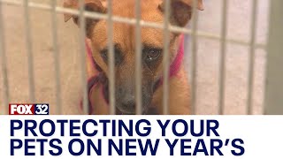 How to protect your pets during New Year's celebrations
