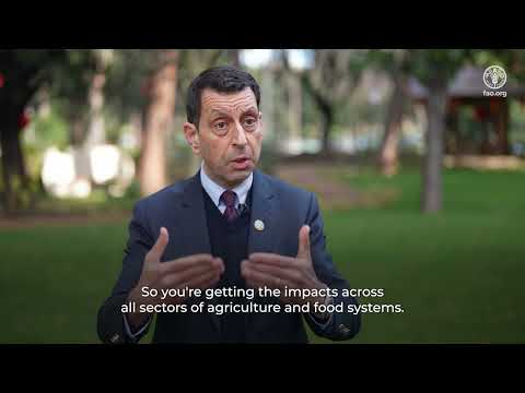 Extreme heat and agriculture: critical findings from the joint FAO-WMO report