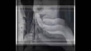 Yarim Senden Ayrılalı Hayli Zaman Oldu