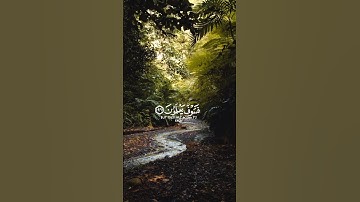 إنا كفيناك المستهزءين .... (سورة الحجر)