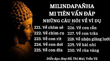 Câu 221 đến Câu 230 – Nội dung Mi Tiên vấn đáp – Kinh Mi Tiên vấn đáp – Milindapanha