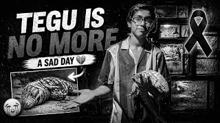 Meri Tegu Lizard Hme Chor kr Chali Gayi | Turab Sibtain Ye Kya Ho Gaya 😢😢😢😢