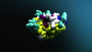 Training BioMolecular Models on BioNeMo