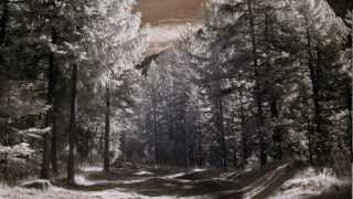 Wilds Reprisal - The Broken Circle