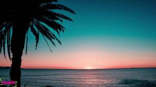 deeB - Palm Parallels