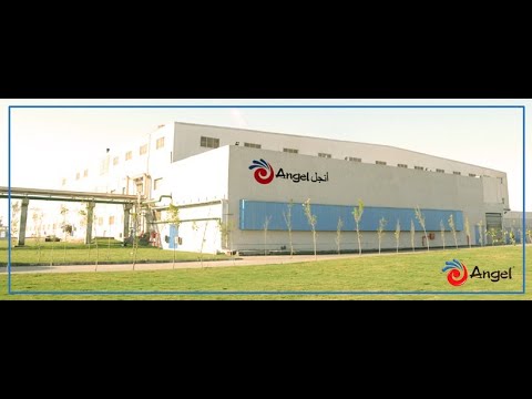 علي أرض مصرية مصنع الخميرة أنجل ييست الأول في الشرق الأوسط والثاني علي العالم