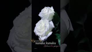 Chaliya Ninne Thalachi Song Whatsapp Status