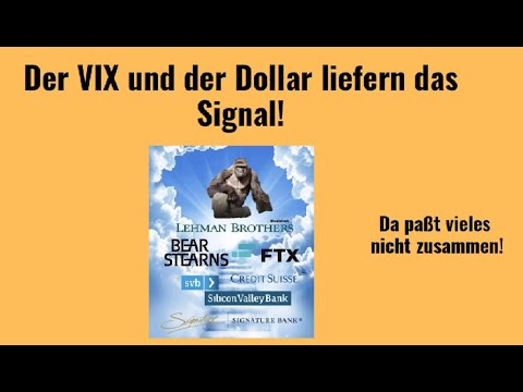 Der VIX und der Dollar liefern das Signal! Videoausblick