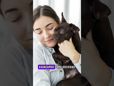 La cultura y la tradición no pueden justificar la crueldad contra los animales