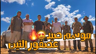 صيد عصفور التين | صحراء الأردن