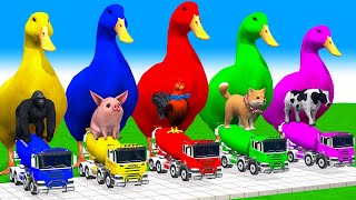 5 Giant Duck, Monkey, Piglet, chicken, dog, lion, tiger, Sheep, Transfiguration funny animal 2023
